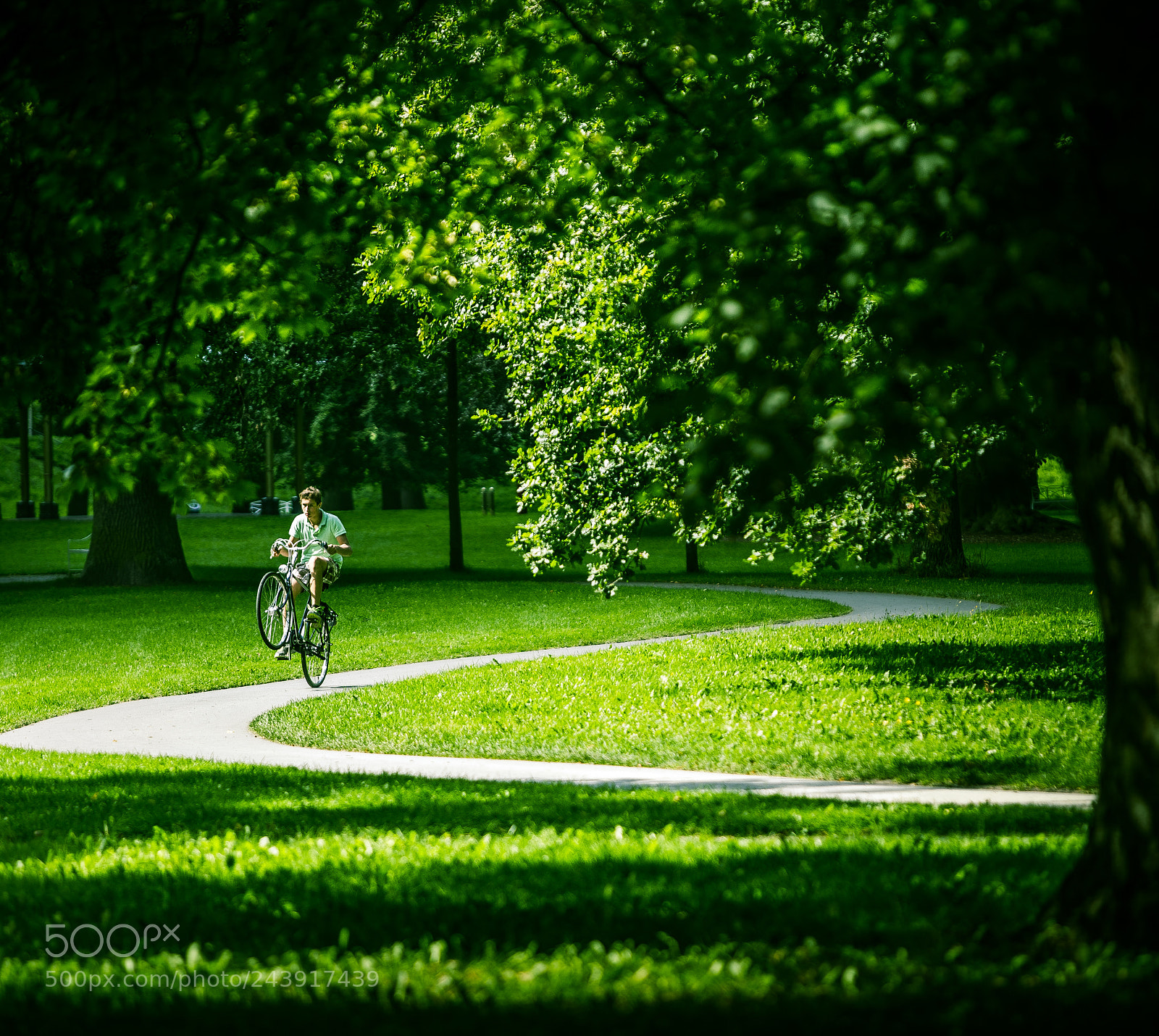 Canon EOS-1D X sample photo. Pike photography