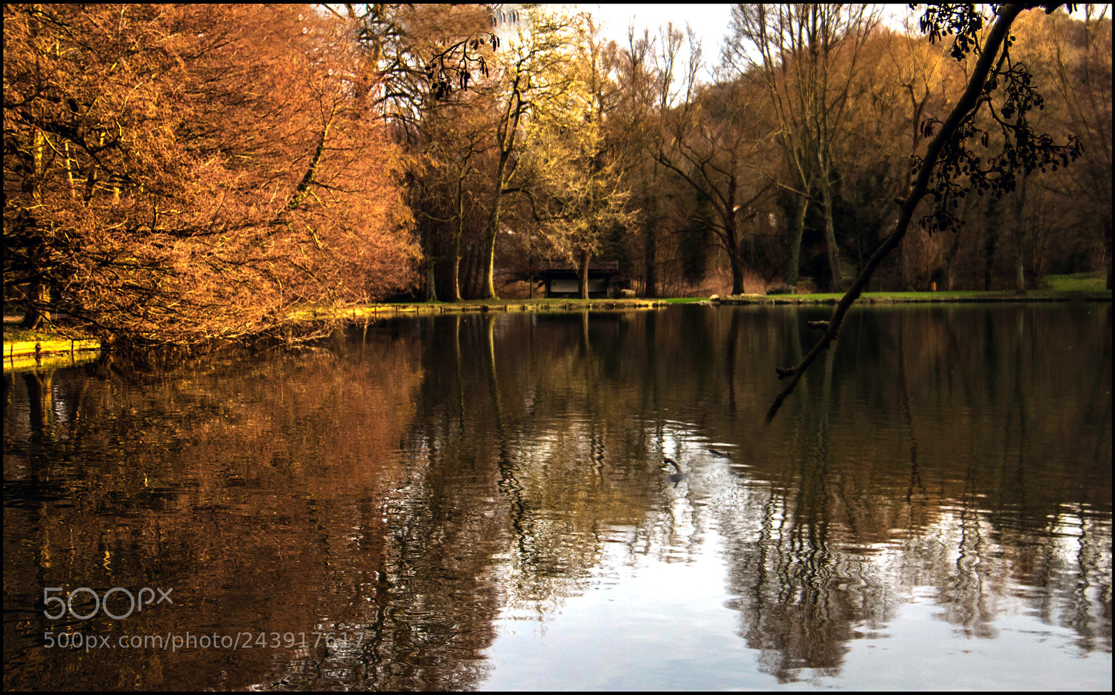 Canon EOS 7D Mark II sample photo. Rouelles reflets photography