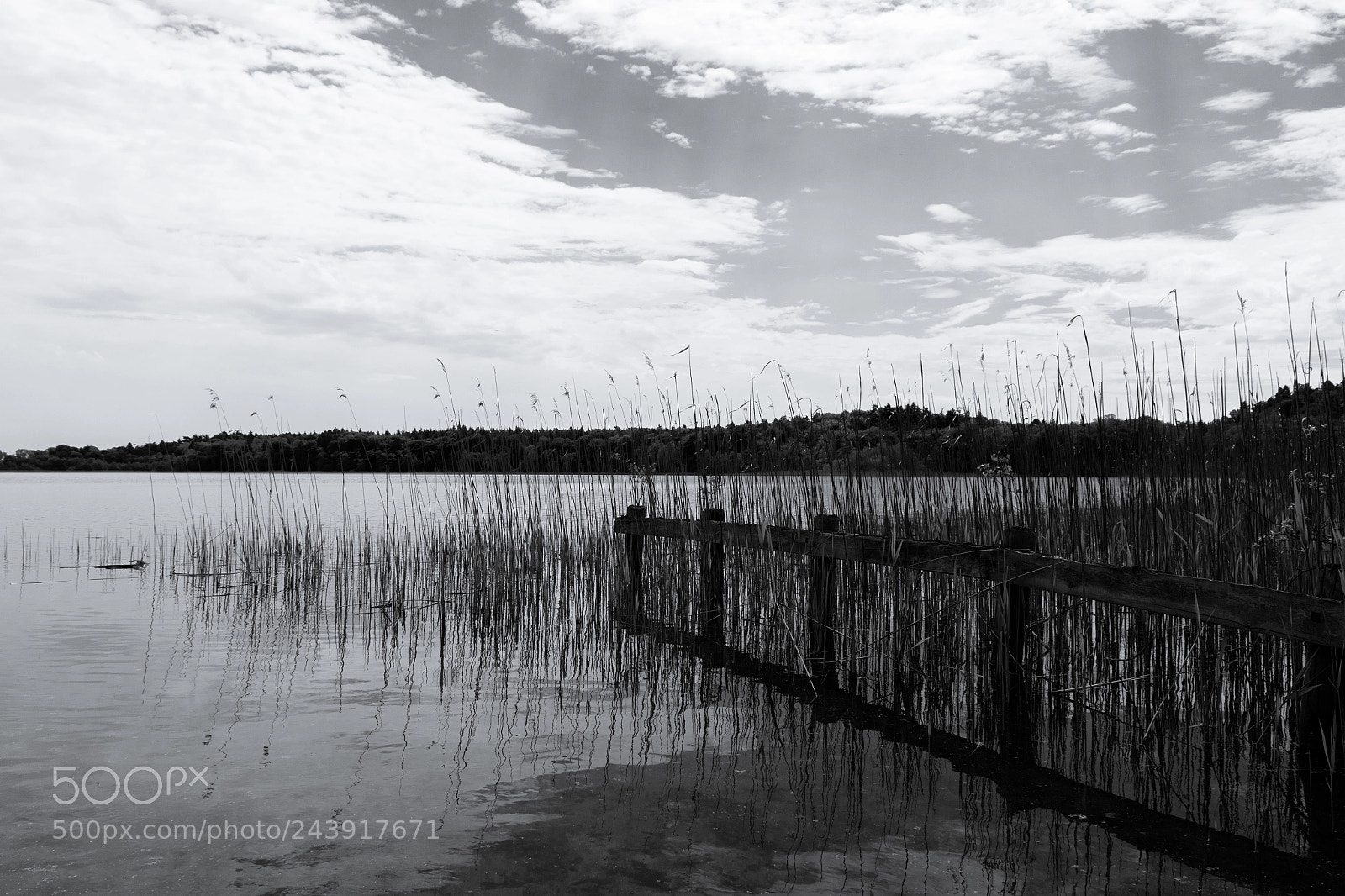 Nikon D7200 sample photo. Reflections photography