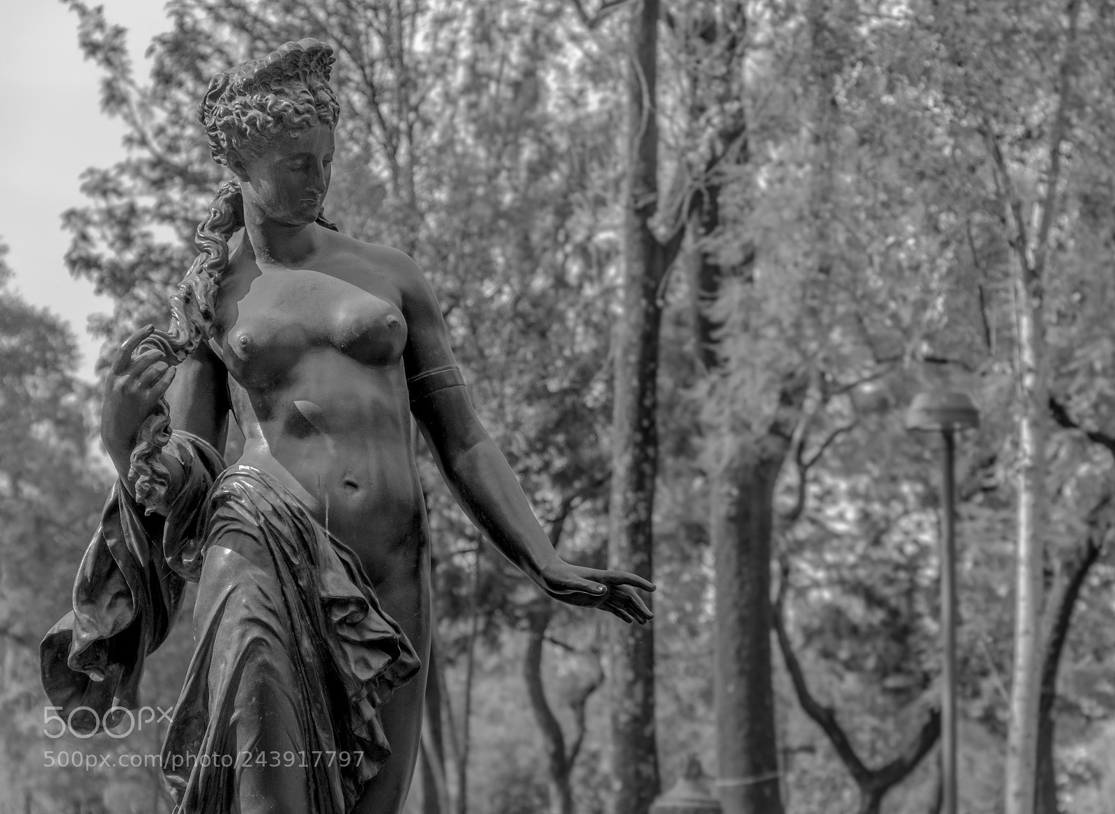 Nikon D5500 sample photo. El nacimiento de venus. photography