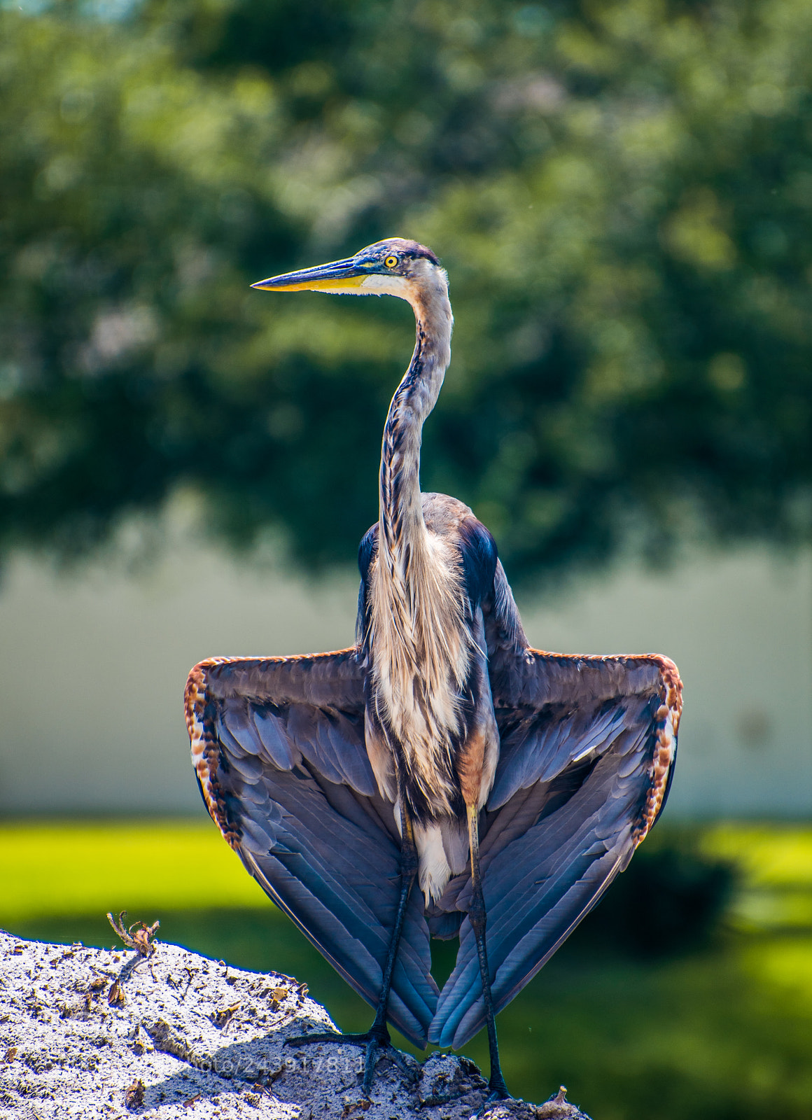 Nikon D810 sample photo. Drying out photography