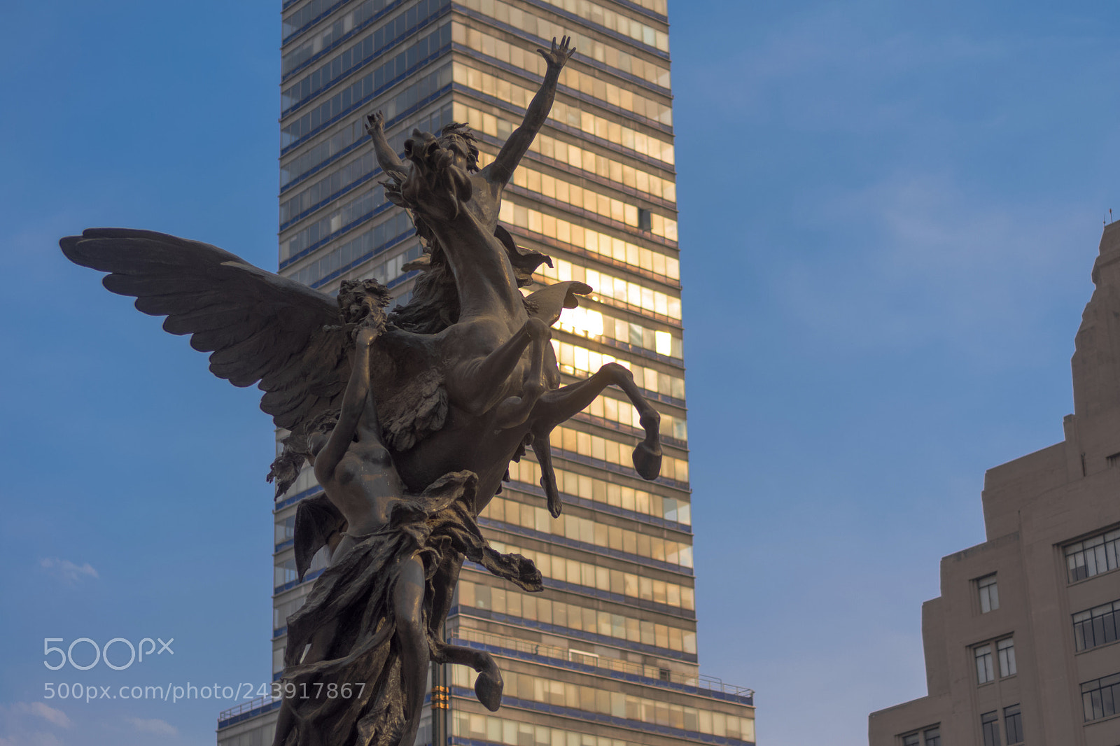 Nikon D5500 sample photo. Pegaso alado. photography