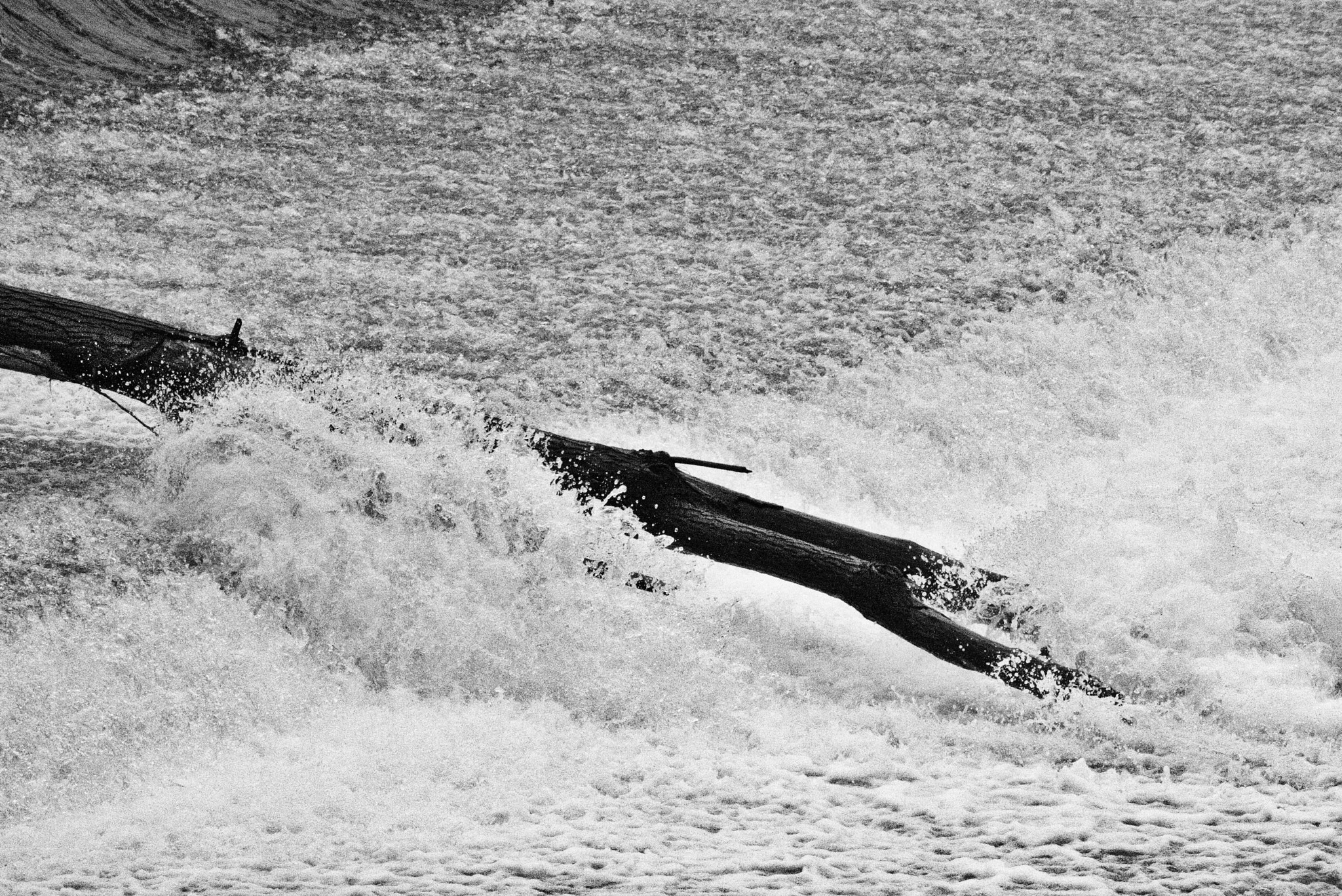 Canon EF-S 55-250mm F4-5.6 IS STM sample photo. Le tronc dans la rivière photography