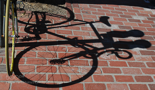 Nikon D60 sample photo. Td photography