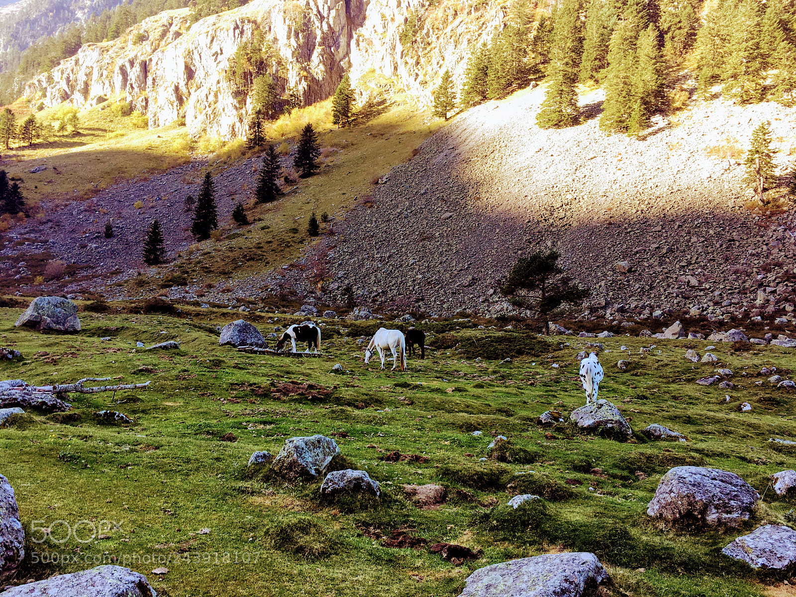 Apple iPhone 6s sample photo. Cauterets, pyr n es photography