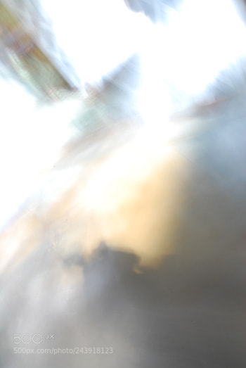 Nikon D60 sample photo. Td photography