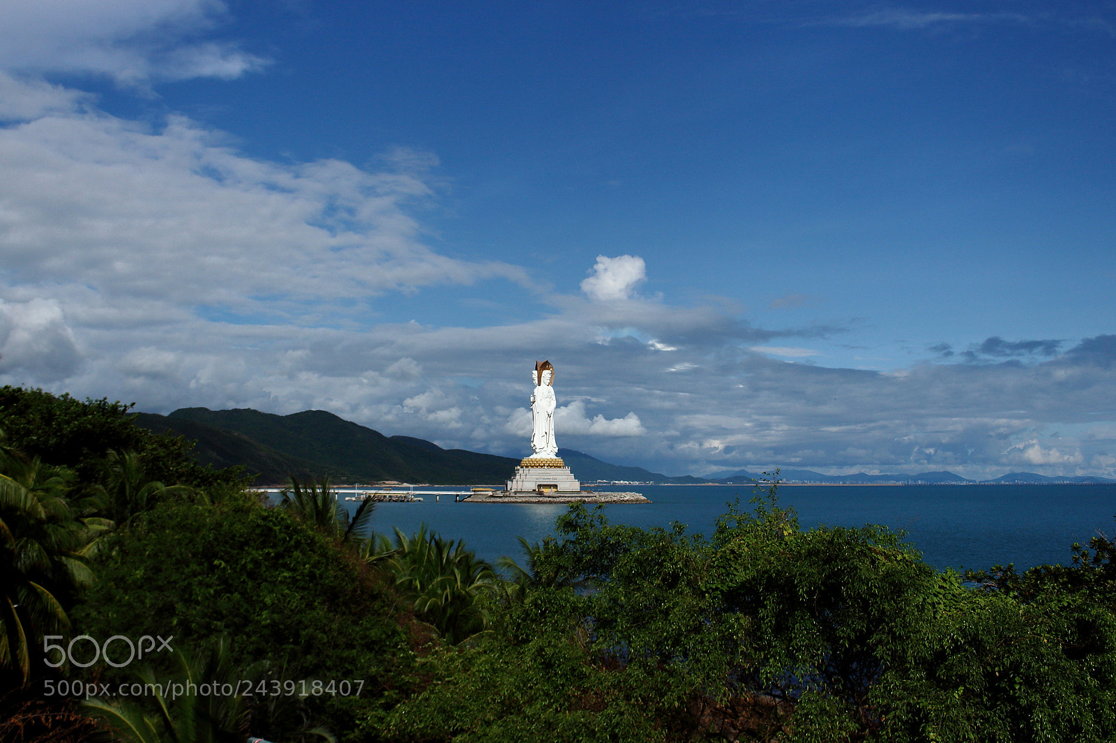 Canon EOS 100D (EOS Rebel SL1 / EOS Kiss X7) sample photo. Landscape with tropical palm photography