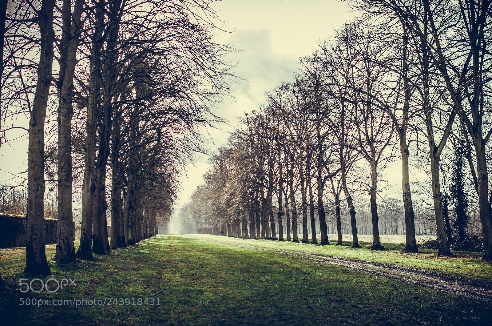 Pentax K-30 sample photo. Kings path photography