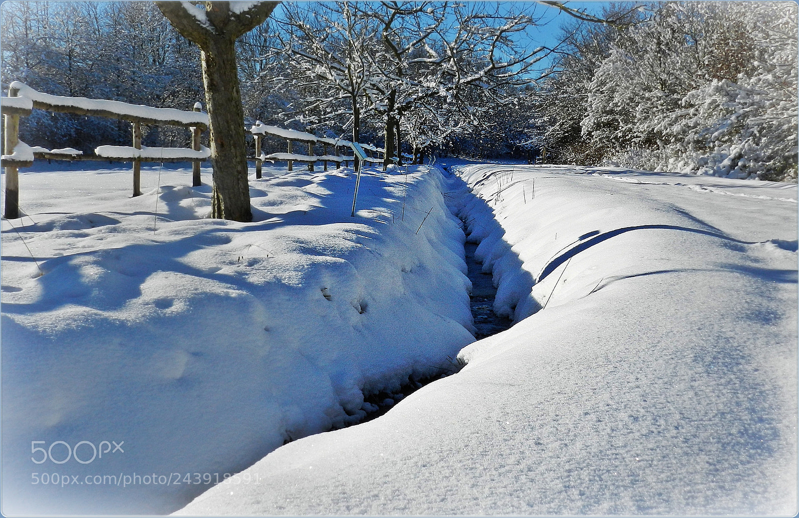 Nikon Coolpix P500 sample photo. Snow and sunlight photography