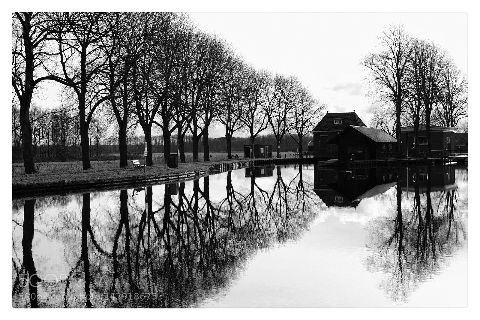 Fujifilm X-T20 sample photo. Reflections photography