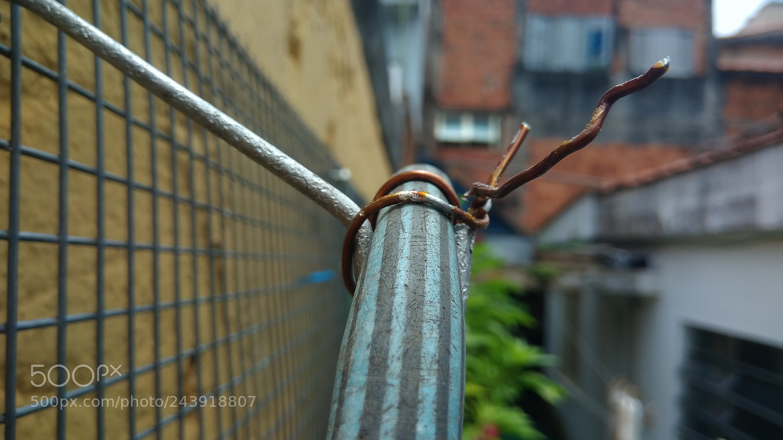 ASUS ZenFone 3 Max (ZC553KL) sample photo. Bluer photography