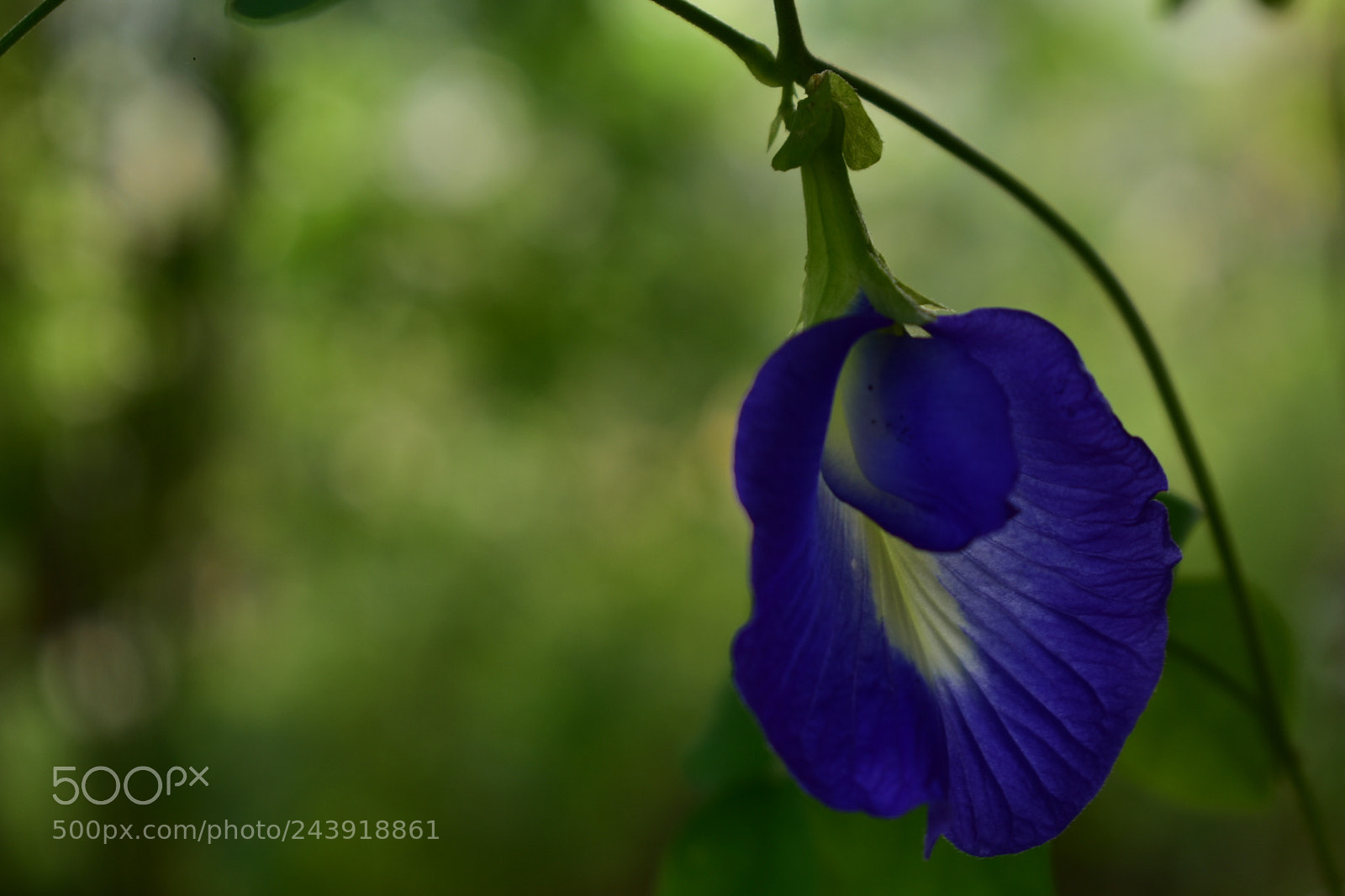 Nikon D3400 sample photo. Untitled photography