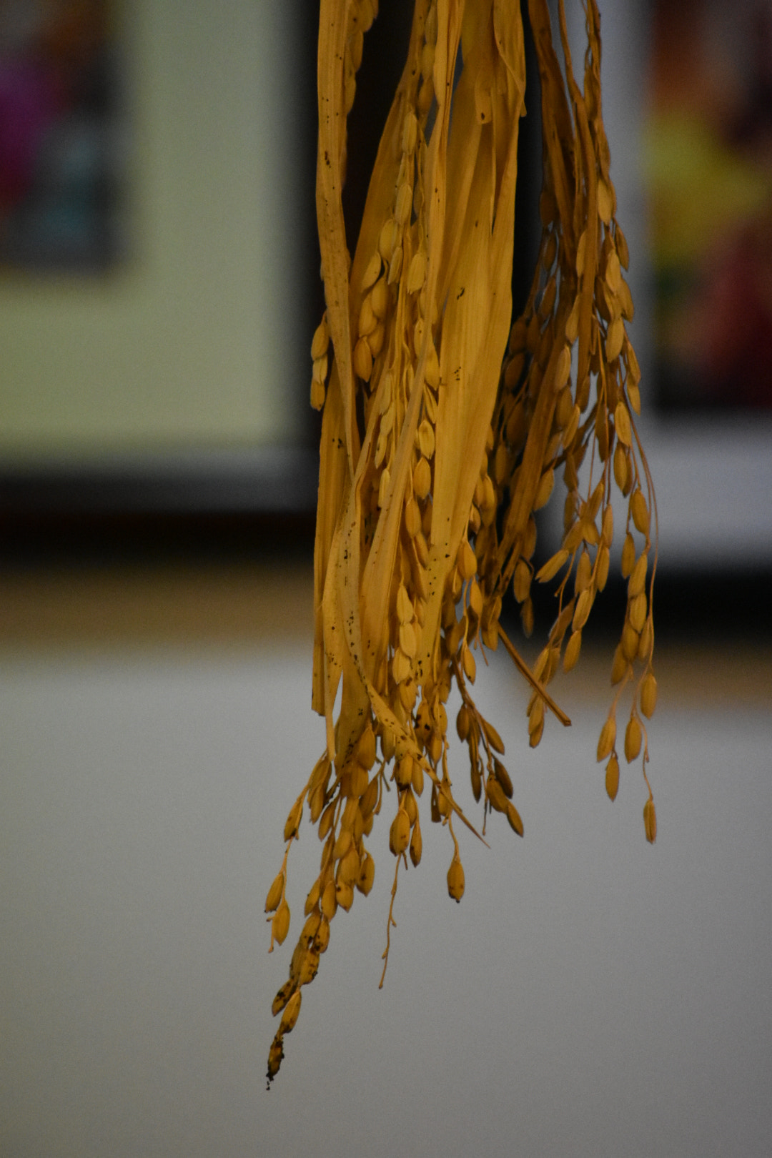 Nikon D3400 sample photo
