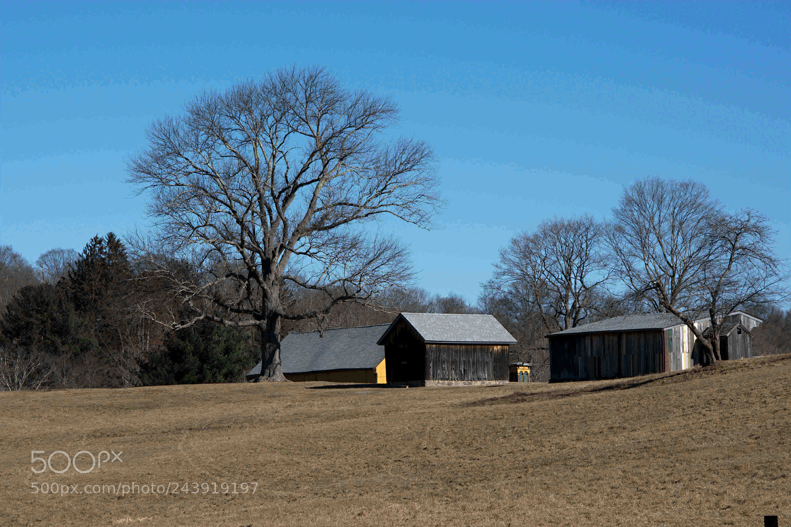 Nikon D7200 sample photo. Middlebury ct back of photography