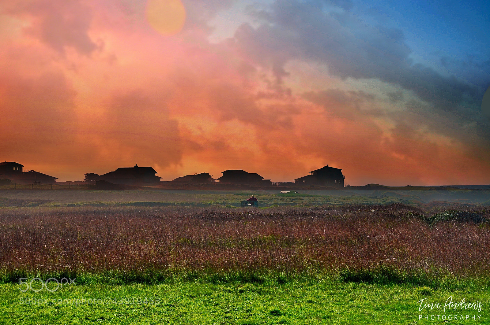 Nikon D90 sample photo. Mystic colors photography