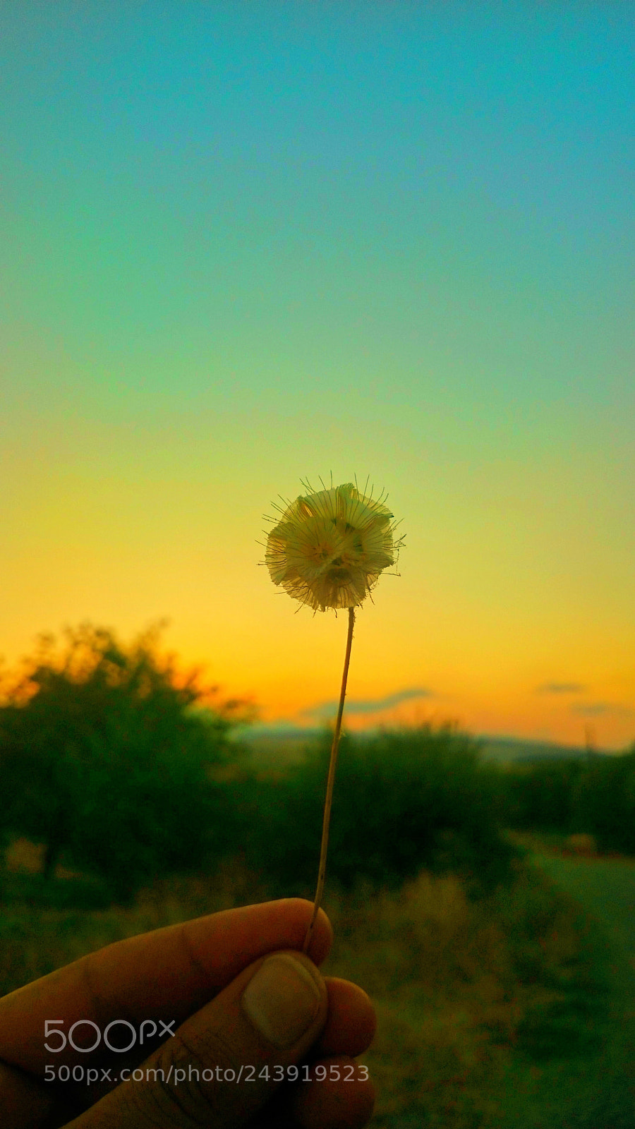 Sony Xperia Z2 sample photo. Untitled photography