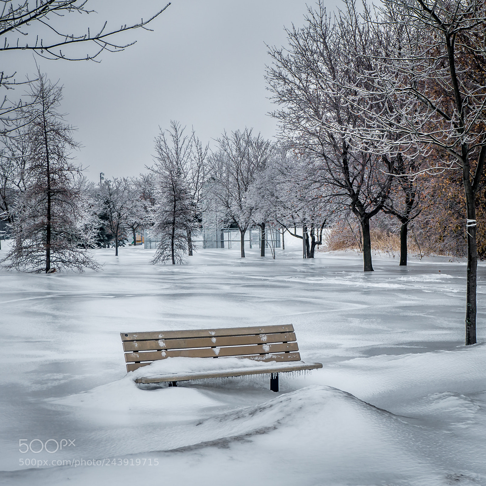 Fujifilm X-A1 sample photo. Ice storm aftermath photography