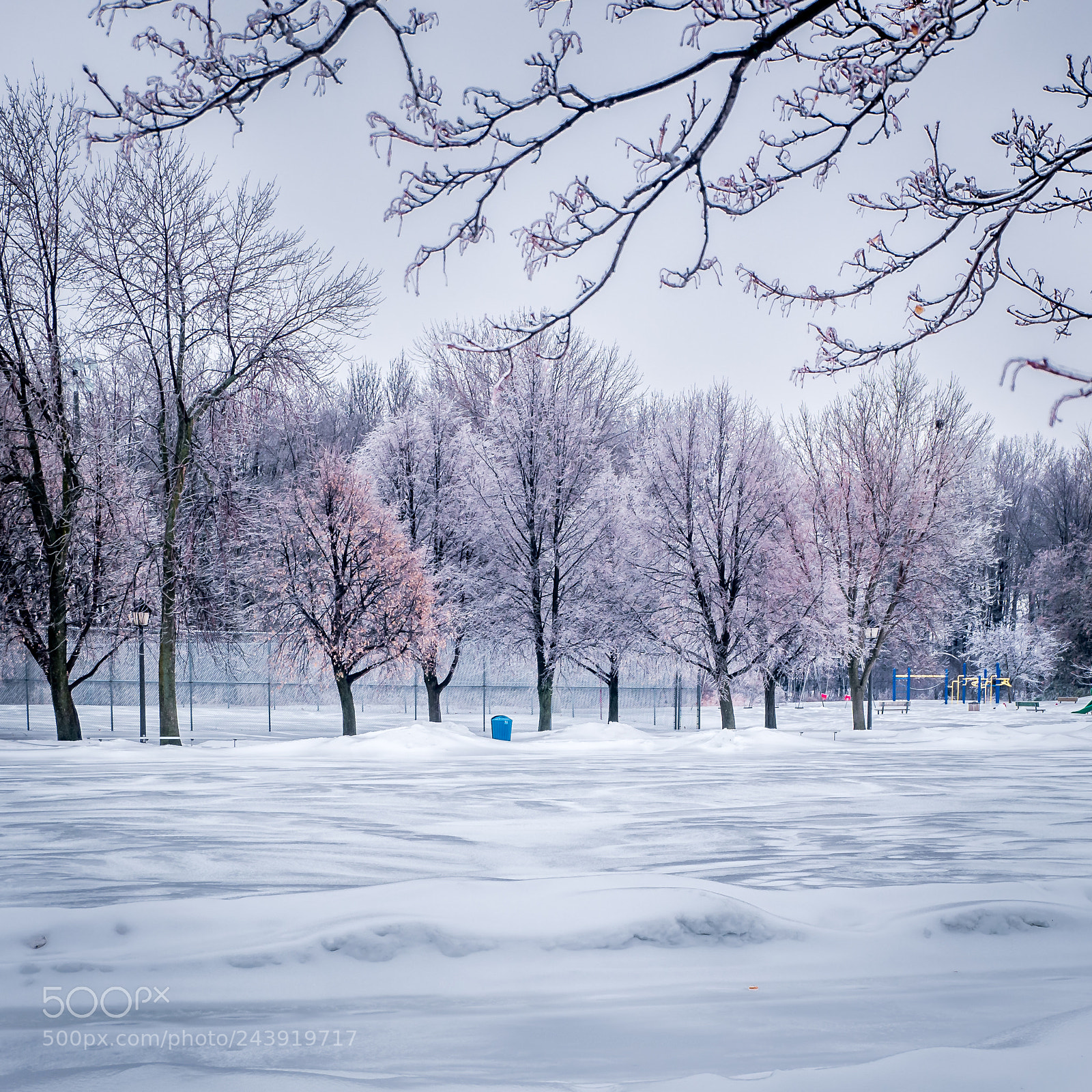 Fujifilm X-A1 sample photo. Ice storm aftermath photography