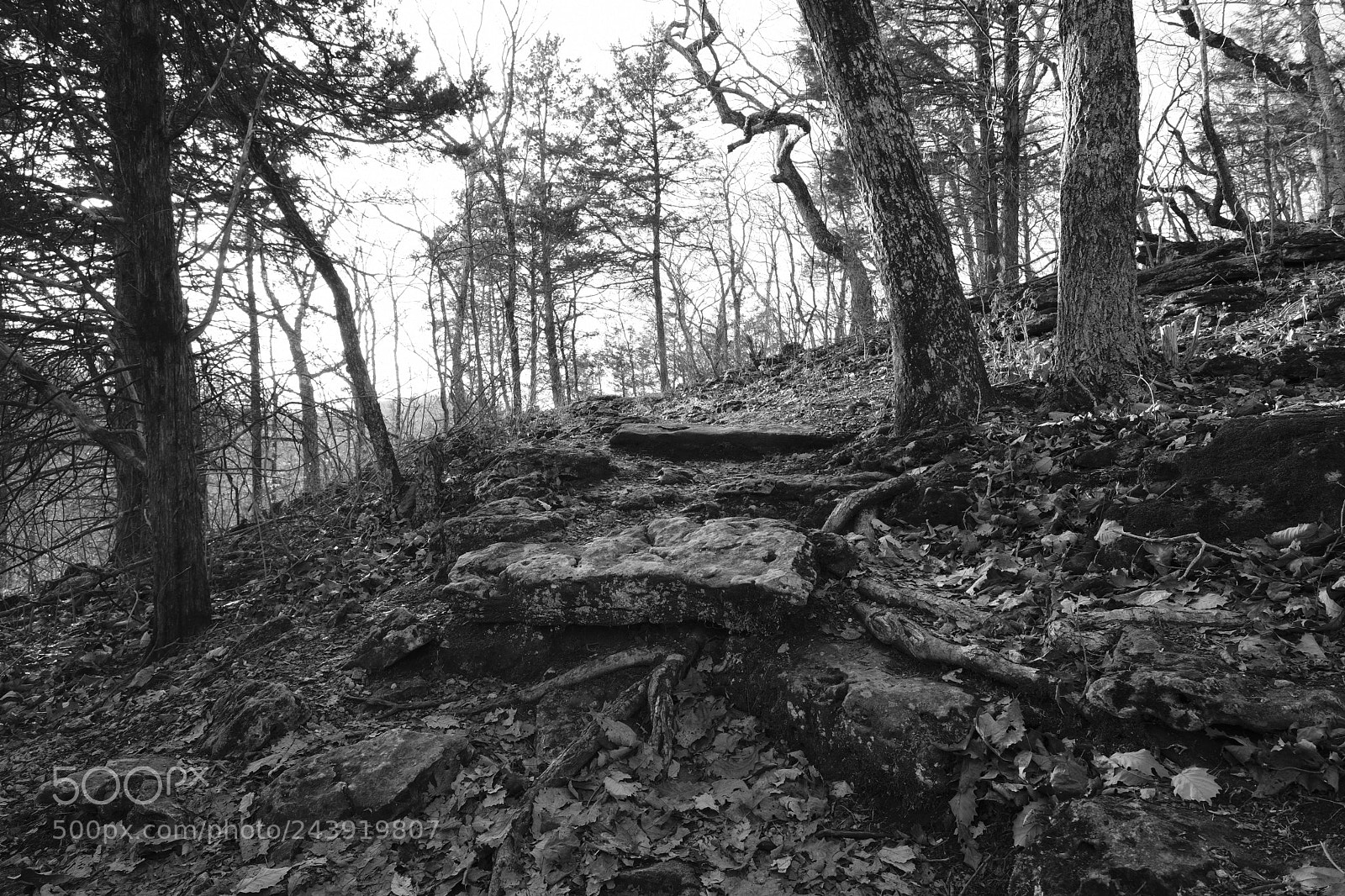 Fujifilm X-Pro2 sample photo. Hiking rockwood photography