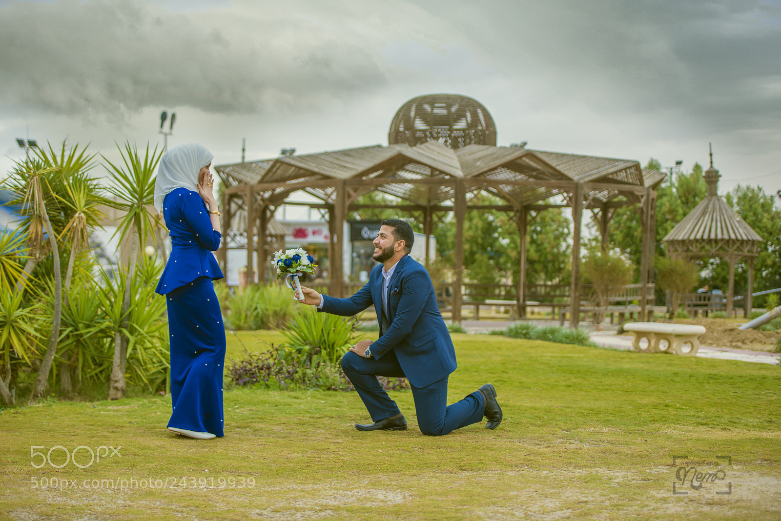 Nikon D810 sample photo. Surprise photography