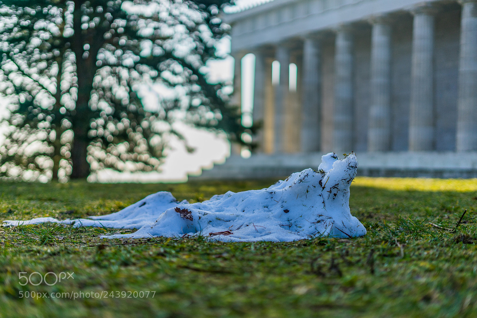 Sony a7 sample photo. It is winter near photography