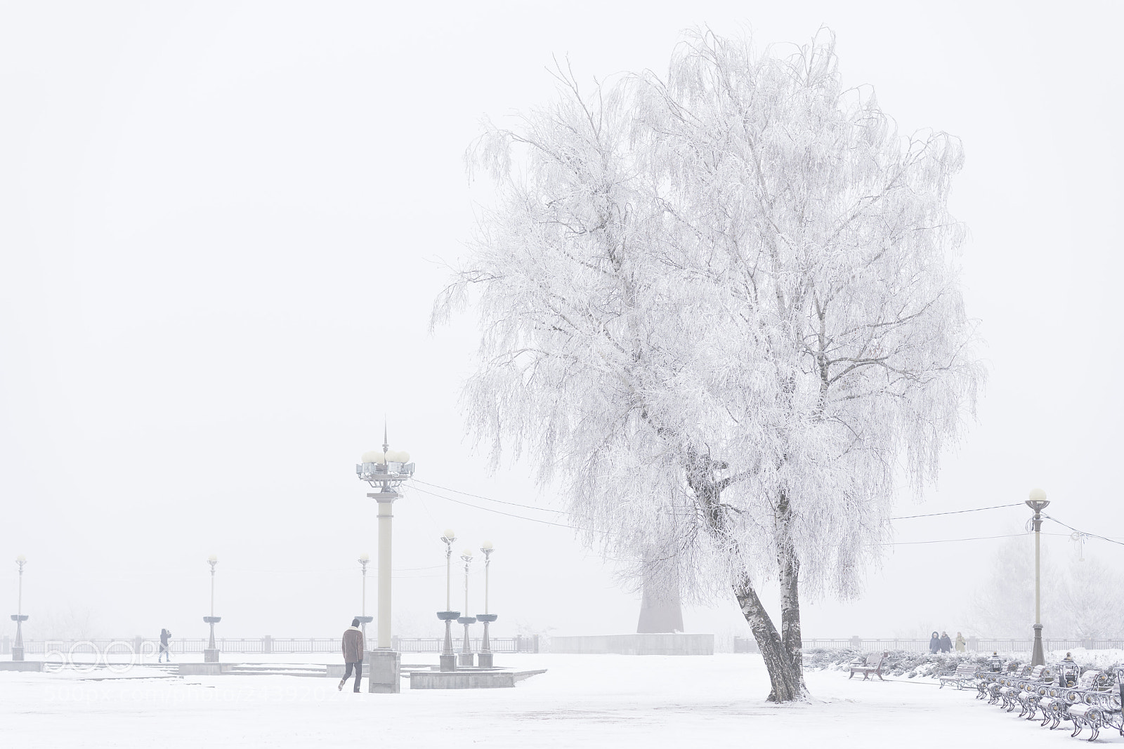 Sony a7R III sample photo. White day photography