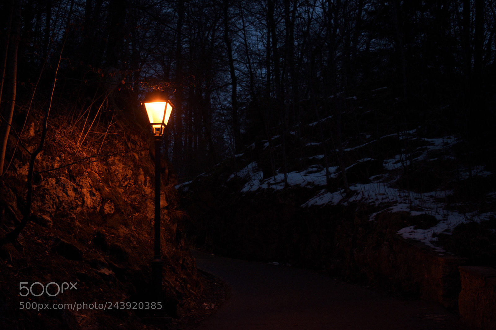 Nikon D3400 sample photo. Orange light photography