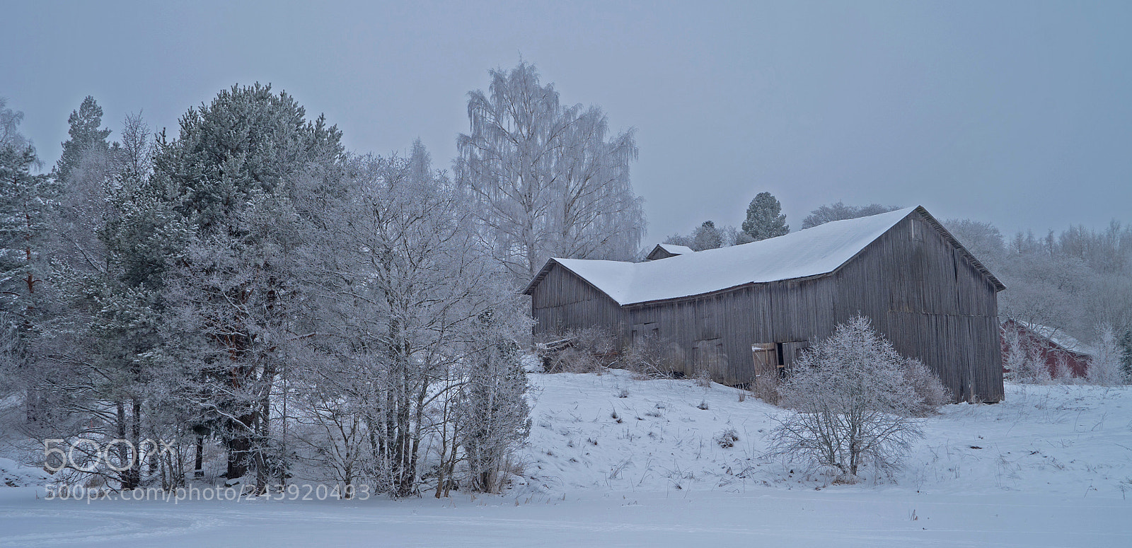 Sony a7S sample photo. Barn photography