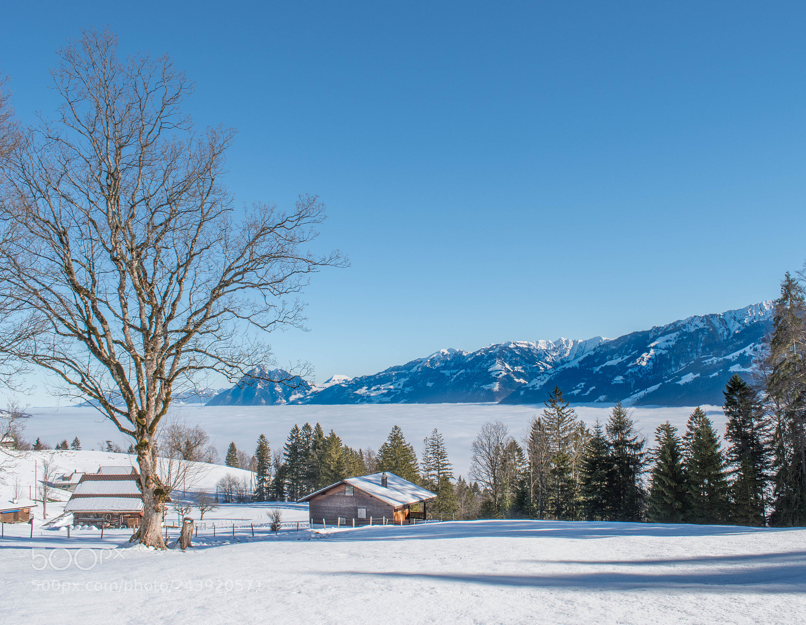 Nikon D5500 sample photo. Wonderful winter photography