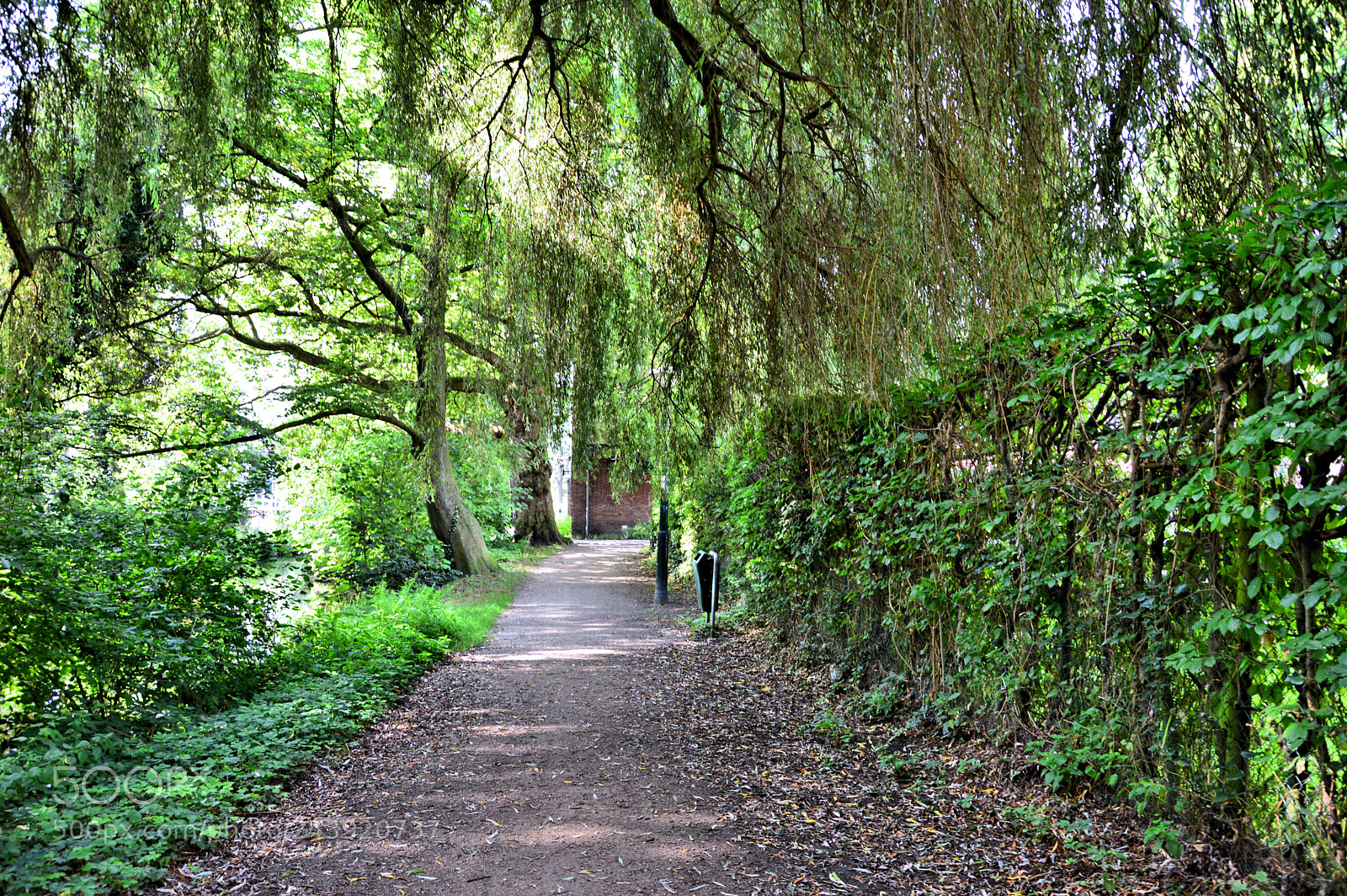 Nikon D3200 sample photo. Green. photography