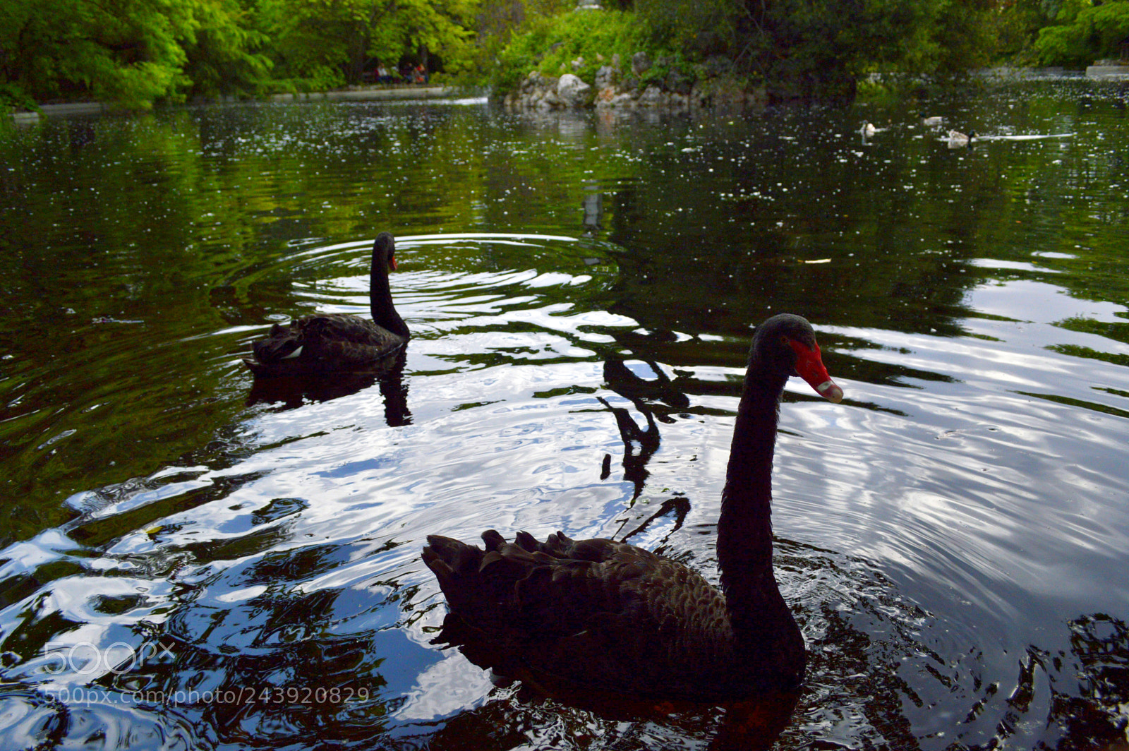 Nikon D3200 sample photo. Fotografia de animales photography