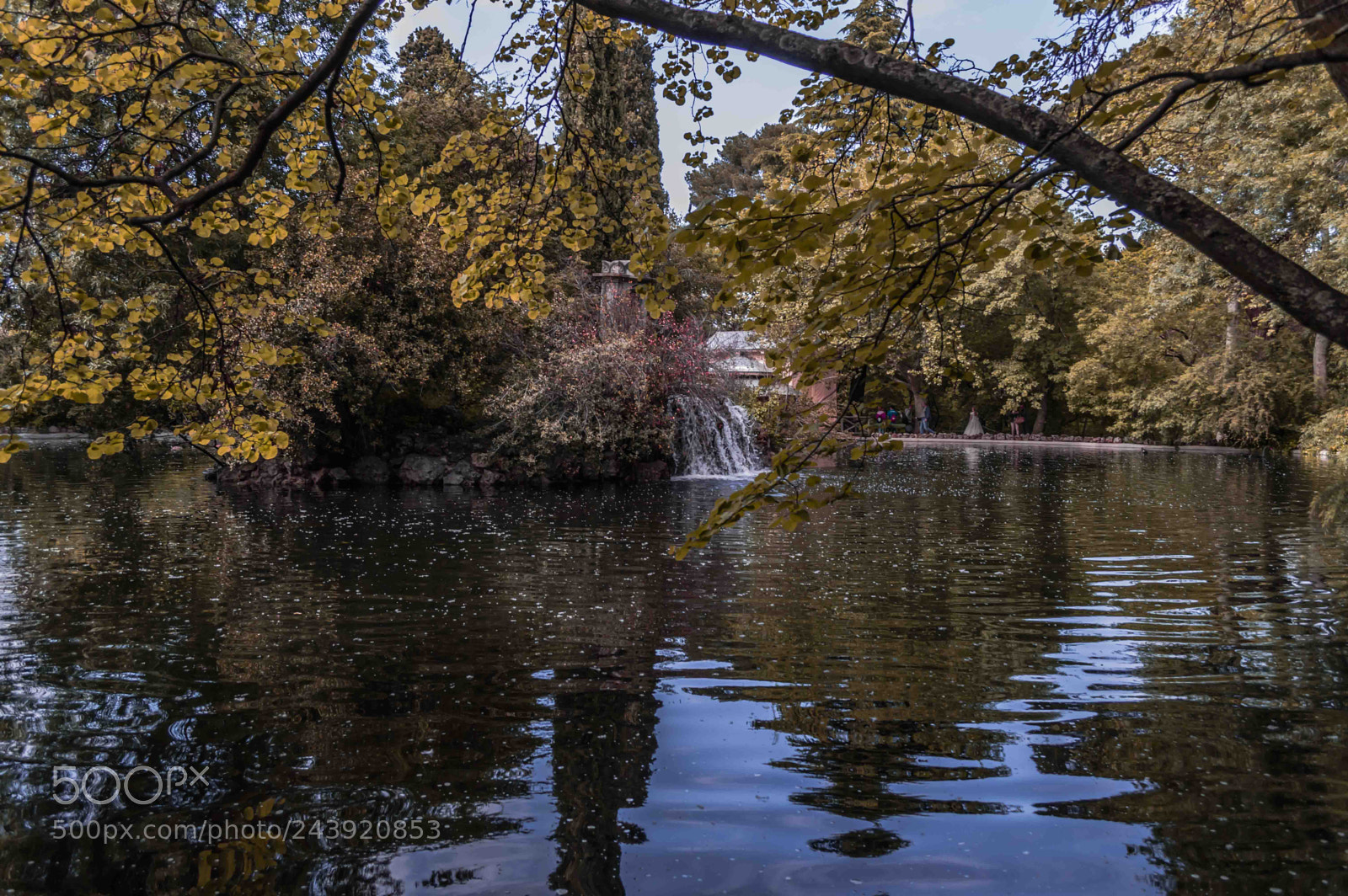 Nikon D3200 sample photo. Fotografia de animales photography