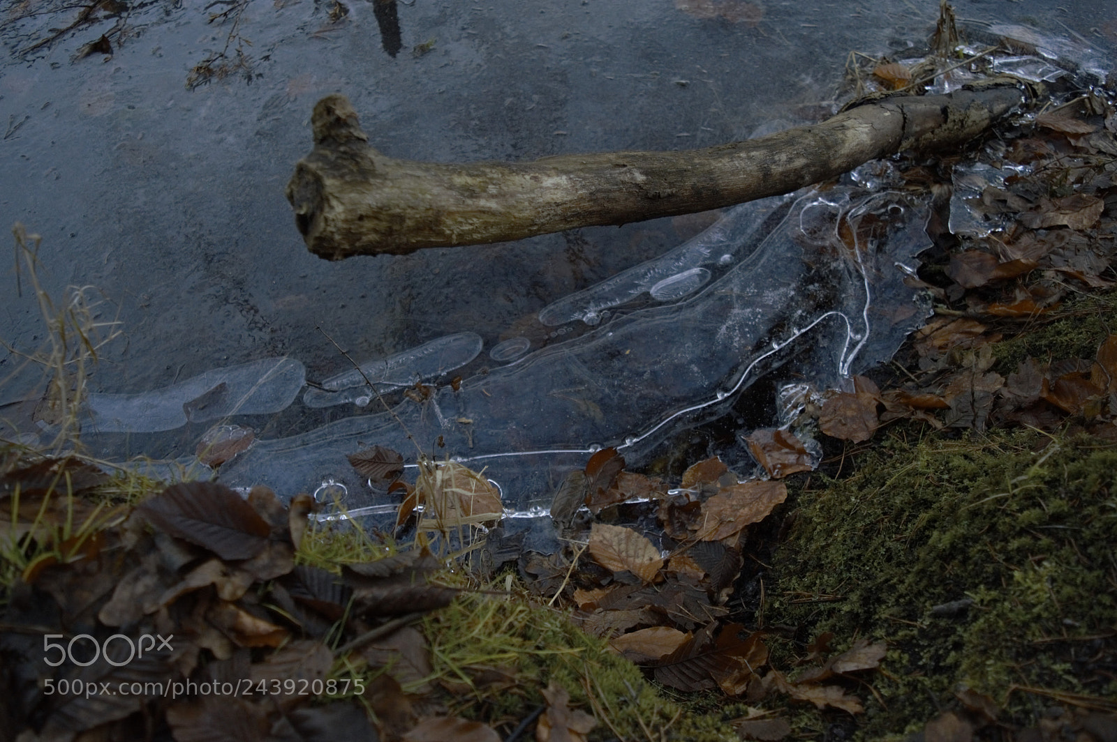 Nikon D3200 sample photo. Air bubbles in frozen photography