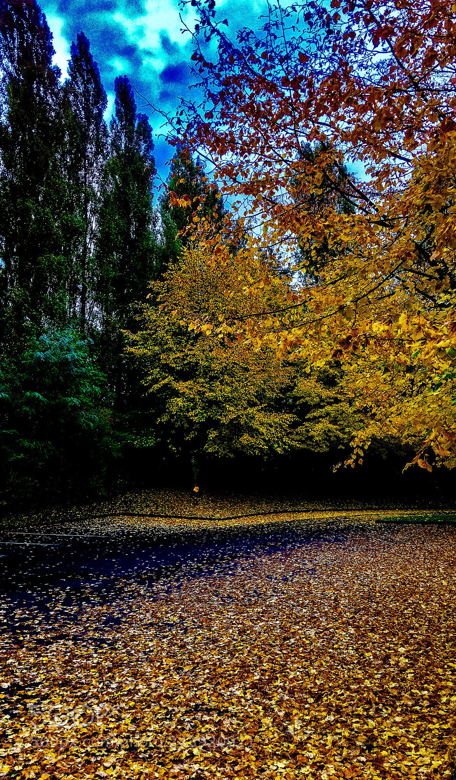 Apple iPhone 6s Plus sample photo. Automne photography