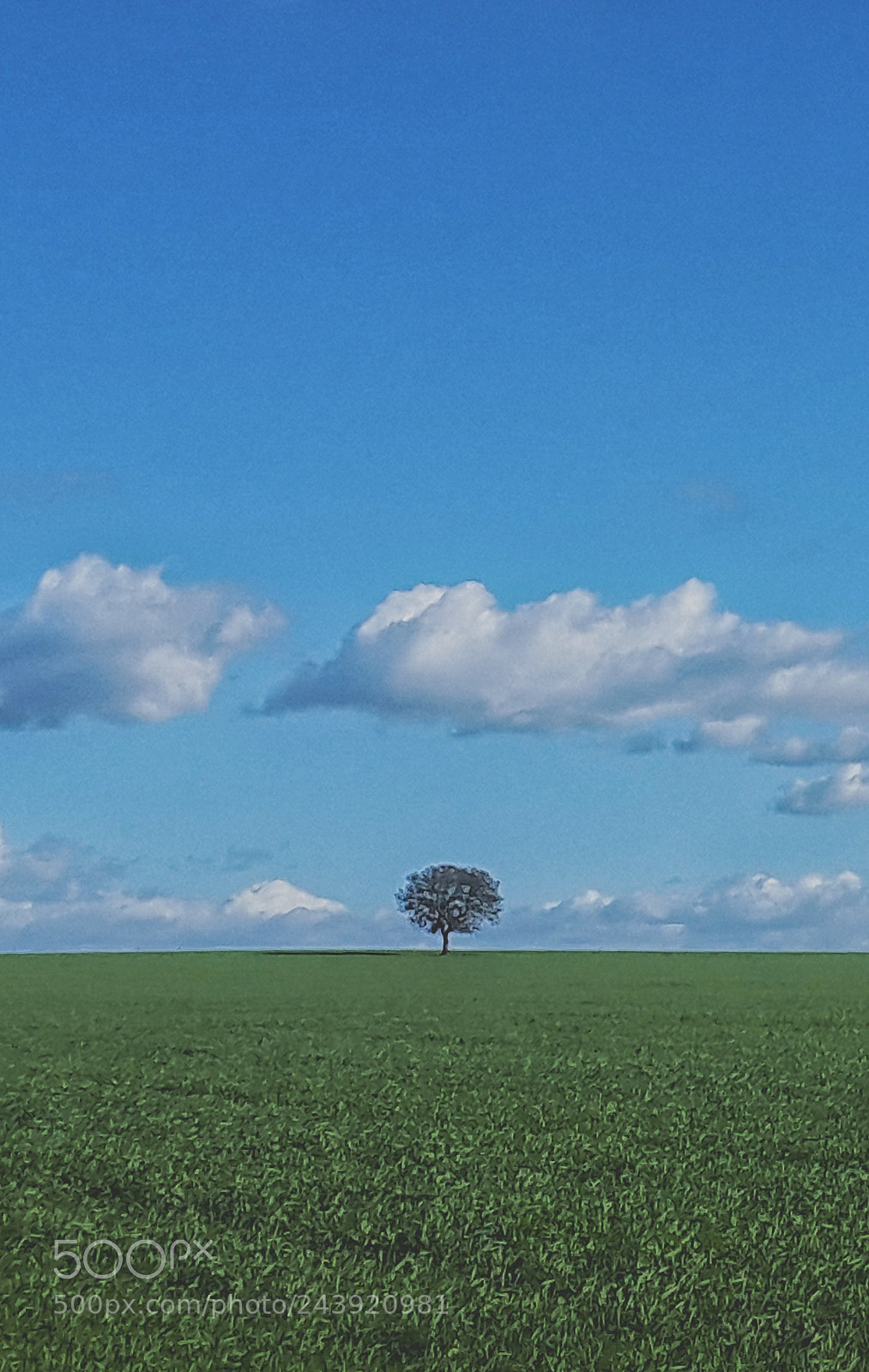 Samsung Galaxy Alpha sample photo. Alentejo... photography
