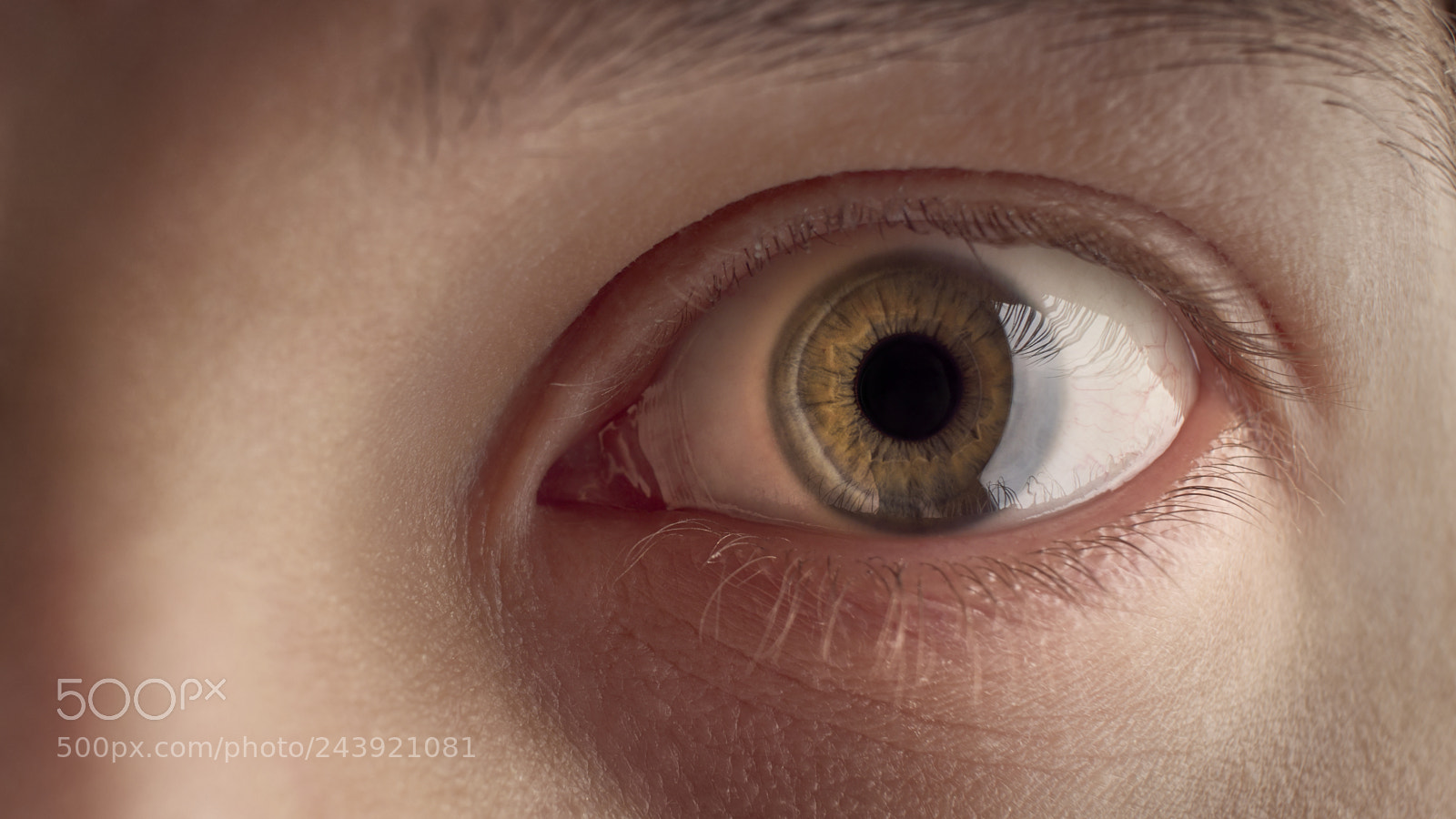 Olympus OM-D E-M1 Mark II sample photo. Eye of a man photography