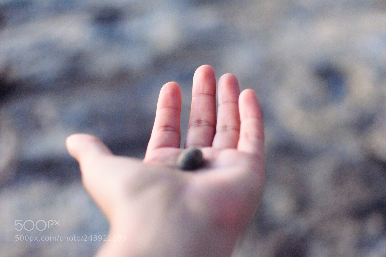 Nikon D5500 sample photo. Untitled photography