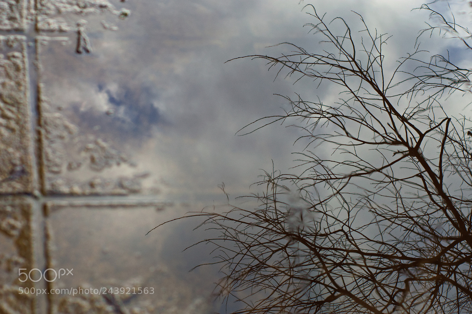 Nikon D3200 sample photo. Puddle photography