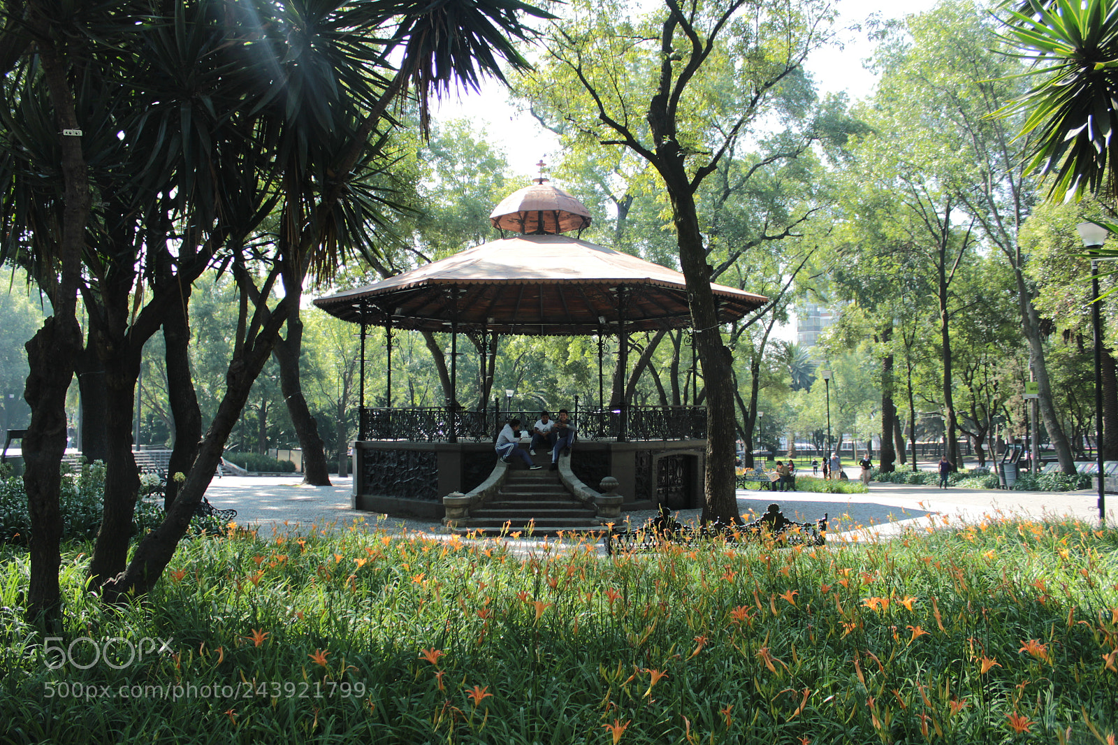 Canon EOS 600D (Rebel EOS T3i / EOS Kiss X5) sample photo. Glorieta photography