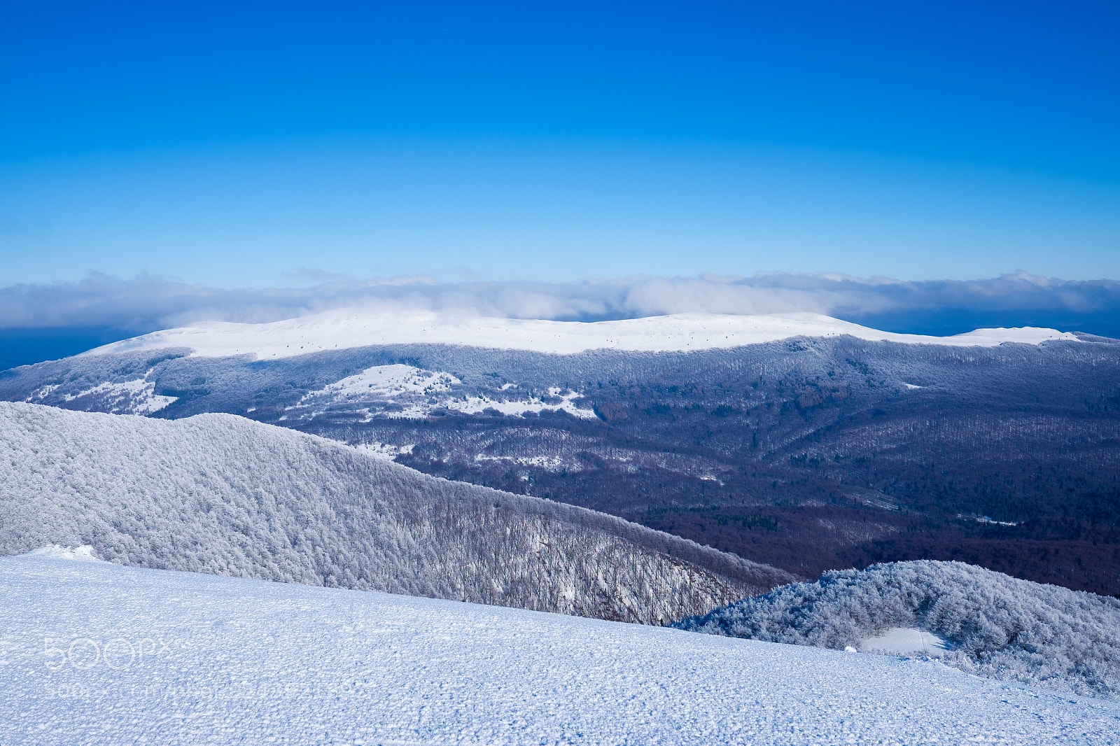 Fujifilm X-E2 sample photo. Bieszczady photography