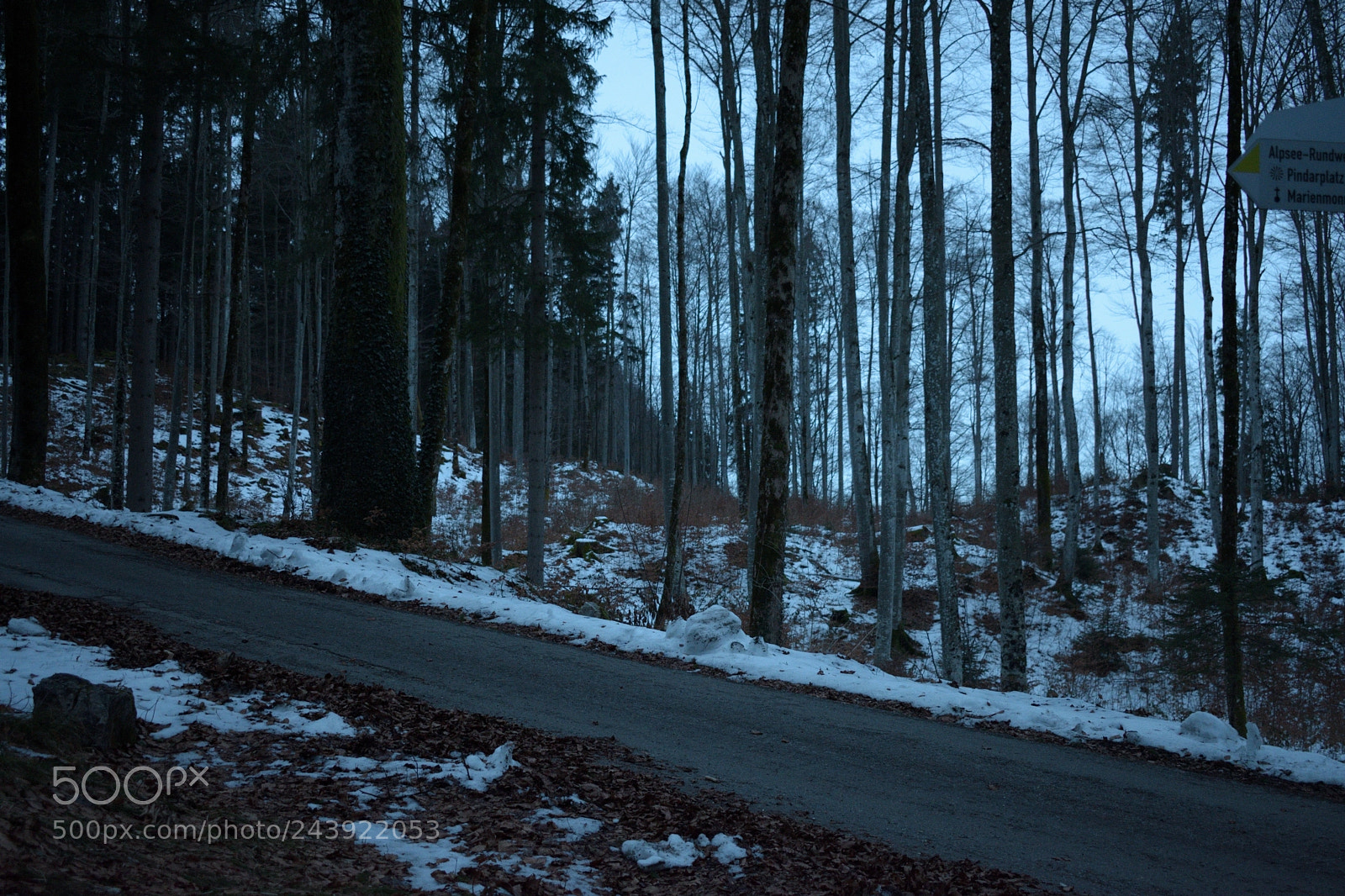 Nikon D3400 sample photo. Alpseeweg photography