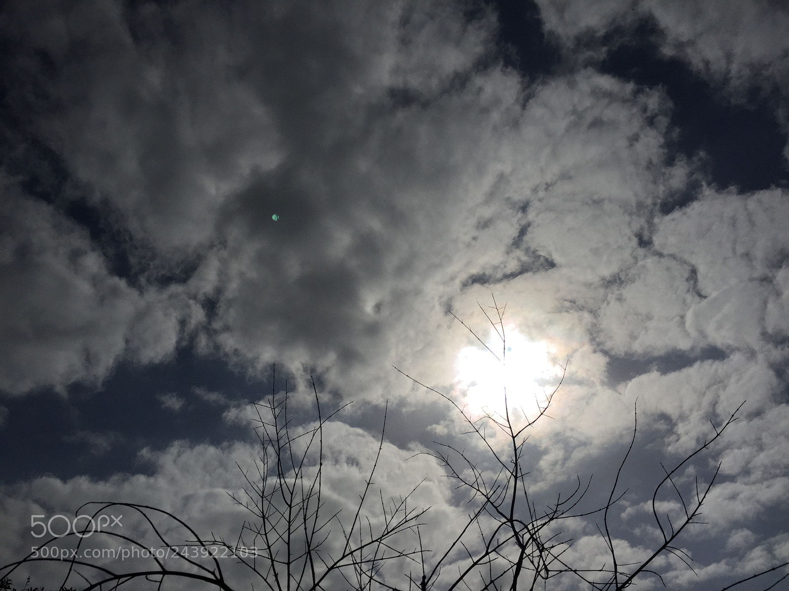 Apple iPhone 6 sample photo. No filters photography