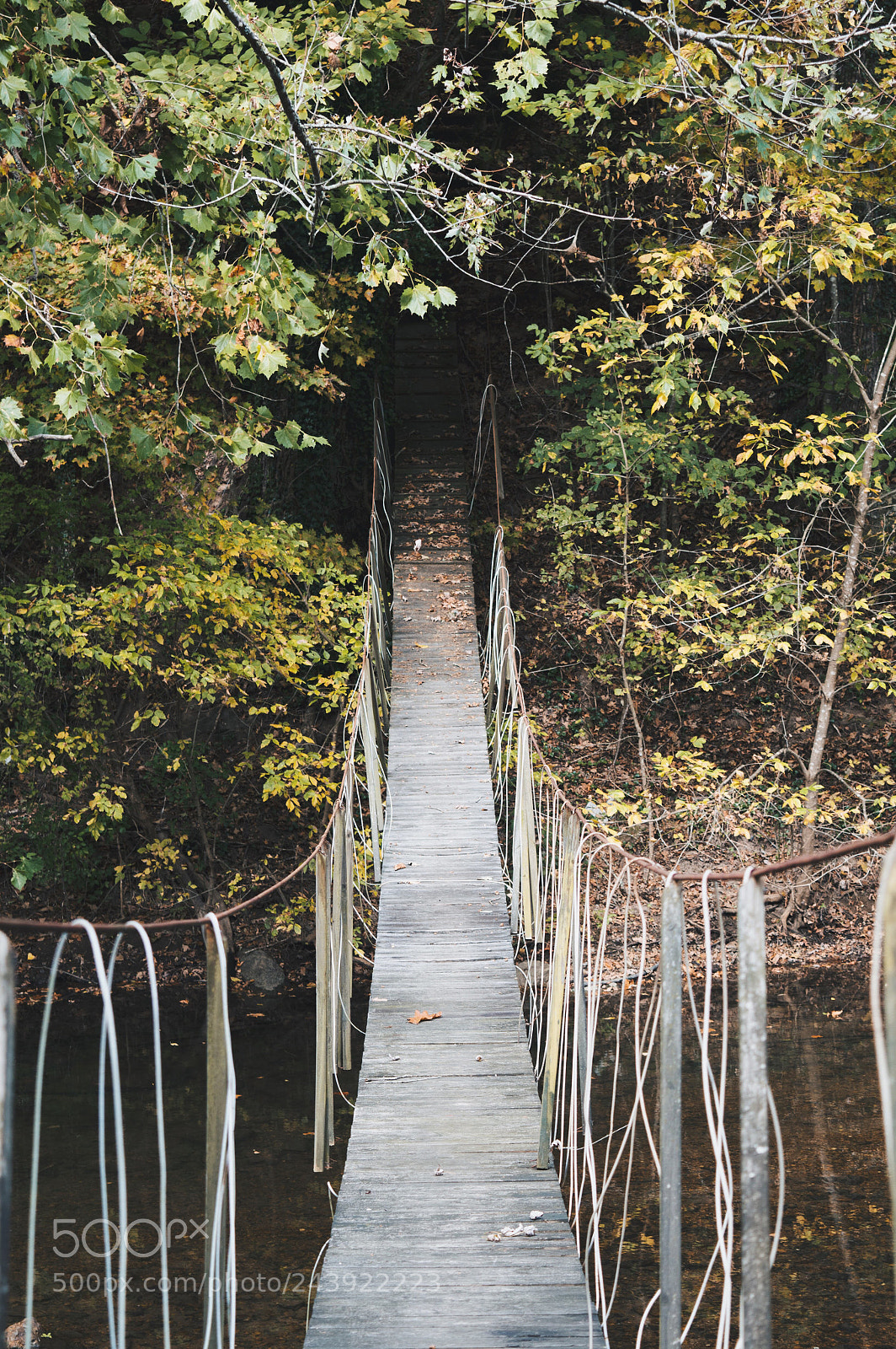 Nikon D3200 sample photo. Bridge to no where photography