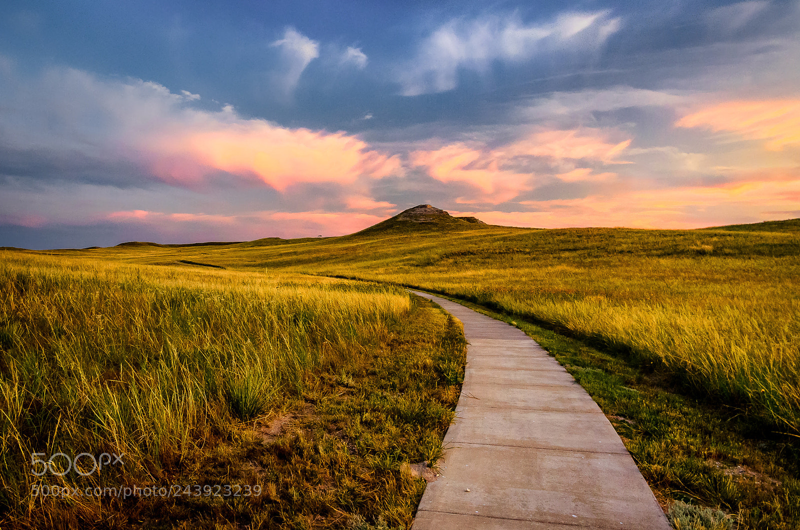 Nikon D5100 sample photo. Trail to university hill photography