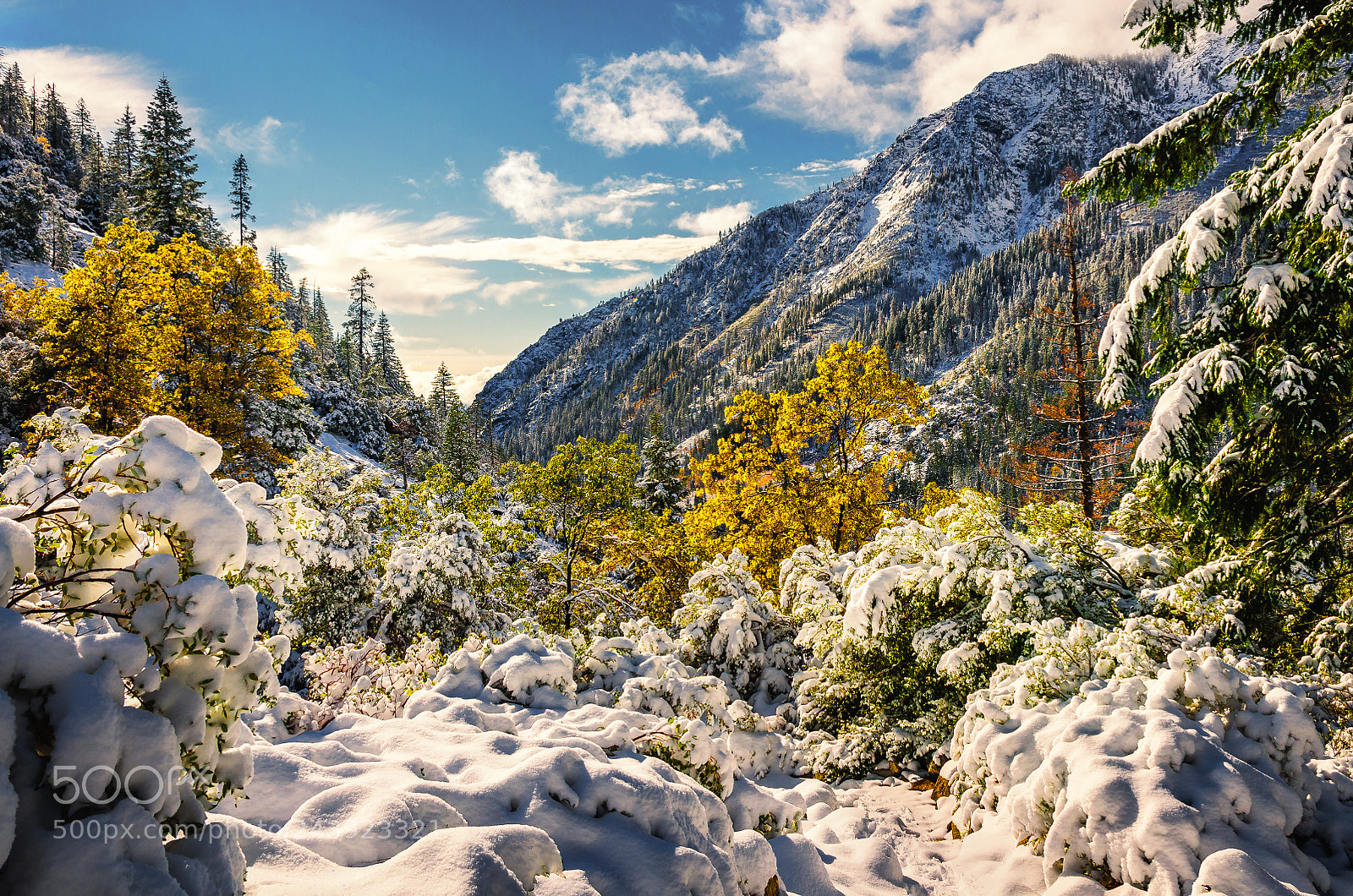 Nikon D5100 sample photo. Trinity alps photography