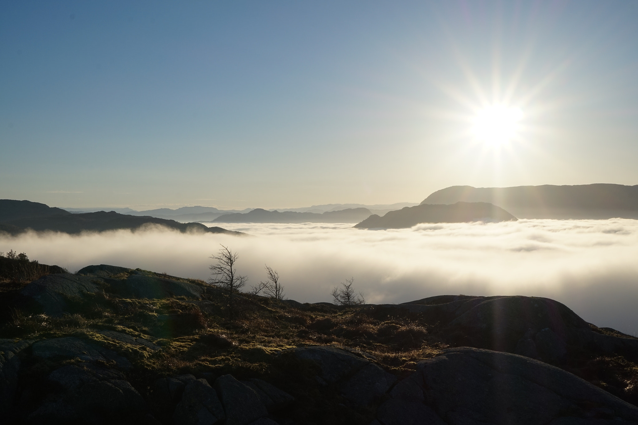 Sony Alpha a5000 (ILCE 5000) + Sony E 18-50mm F4-5.6 sample photo. Good morning photography