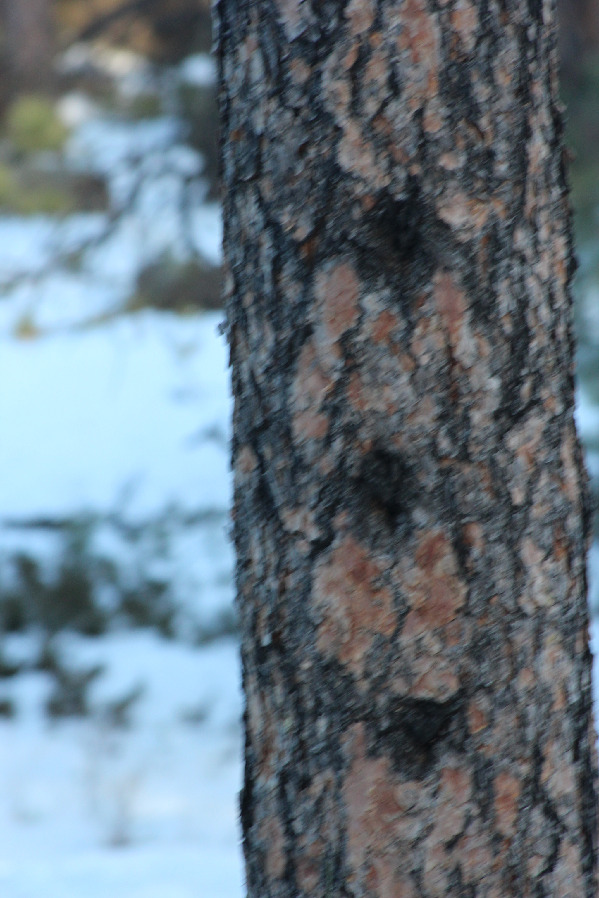 EF75-300mm f/4-5.6 sample photo. Img photography
