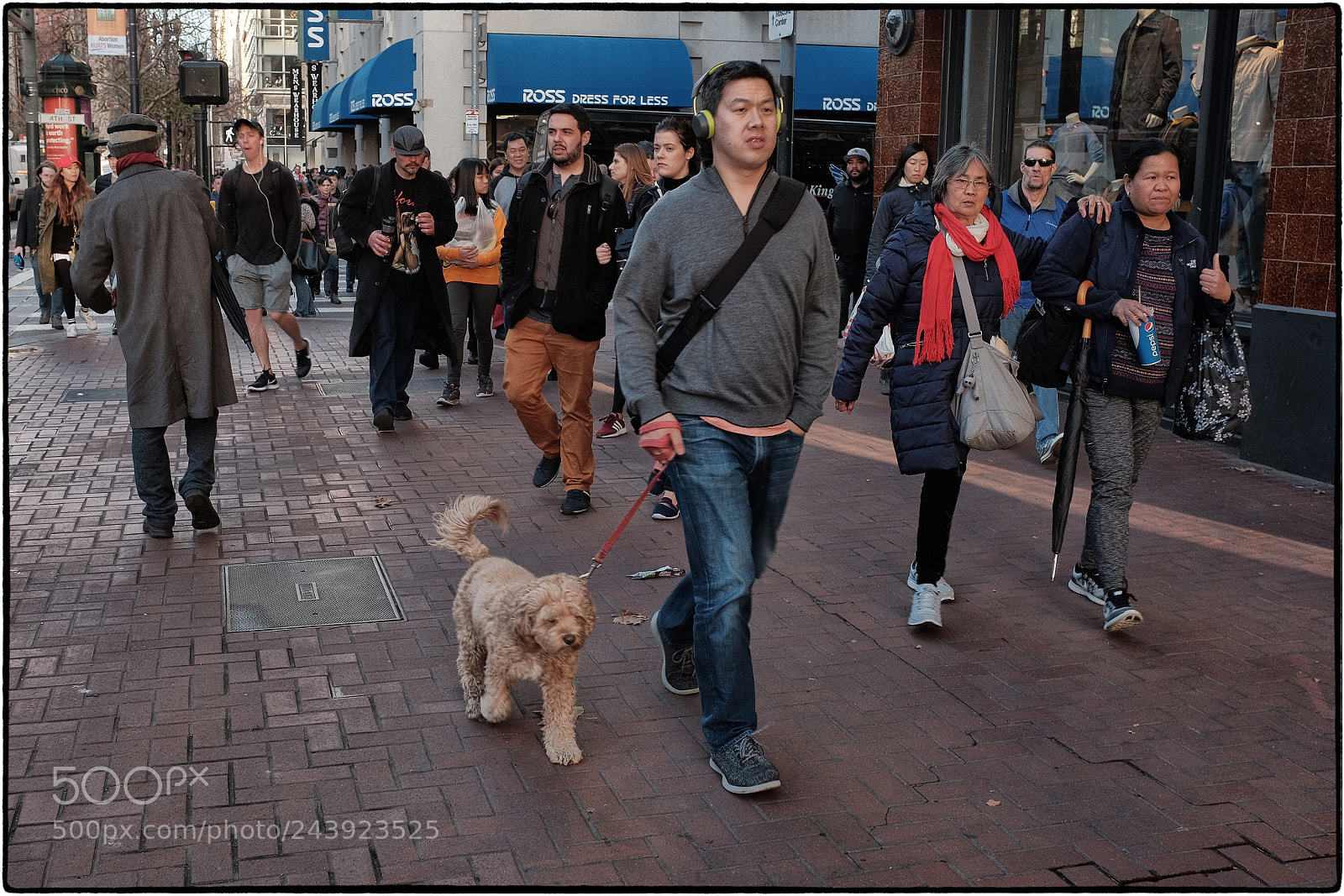 Fujifilm X100T sample photo. Dogs and their people photography