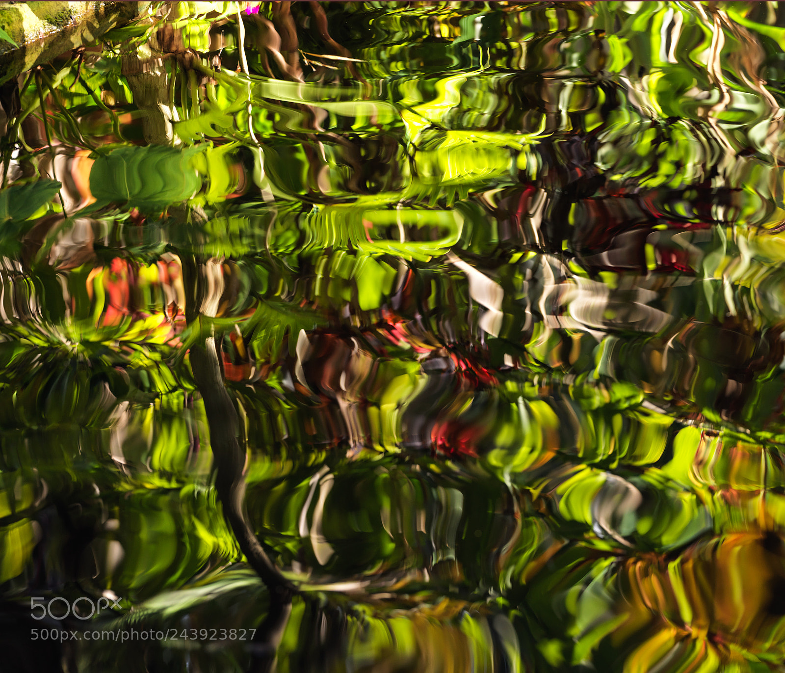 Hasselblad X1D-50c sample photo. Pool reflections photography