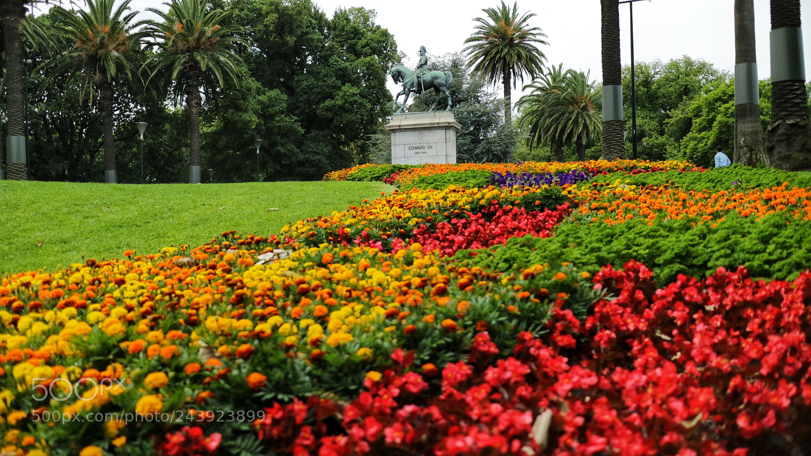 Canon EOS M3 sample photo. Untitled photography
